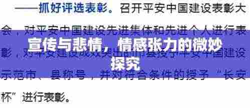 宣传与悲情,情感张力的微妙探究