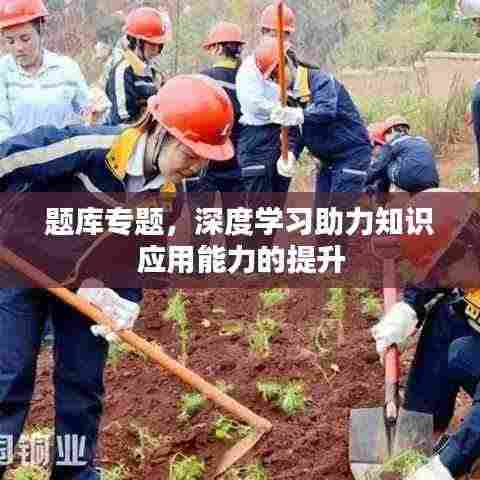 题库专题，深度学习助力知识应用能力的提升