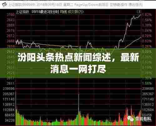 行疾如飞 第3页