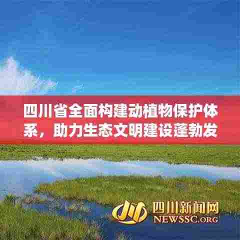 四川省全面构建动植物保护体系,助力生态文明建设蓬勃发展