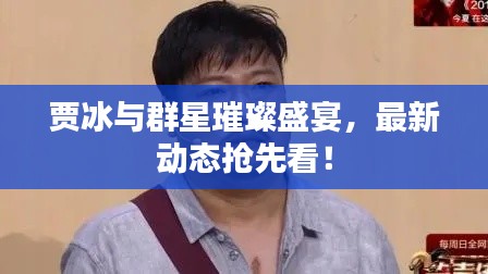 贾冰与群星璀璨盛宴,最新动态抢先看!