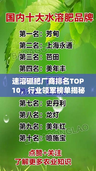 速溶硼肥厂商排名TOP10,行业领军榜单揭秘!