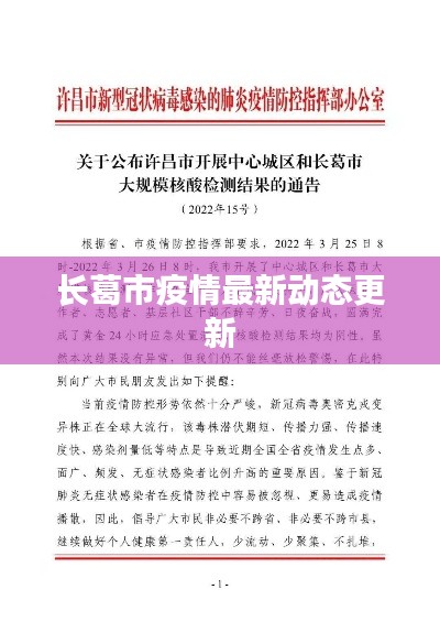 长葛市疫情最新动态更新