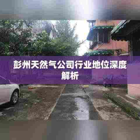 彭州天然气公司行业地位深度解析