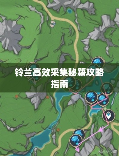 铃兰高效采集秘籍攻略指南