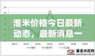 淮米价格今日最新动态，最新消息一览表