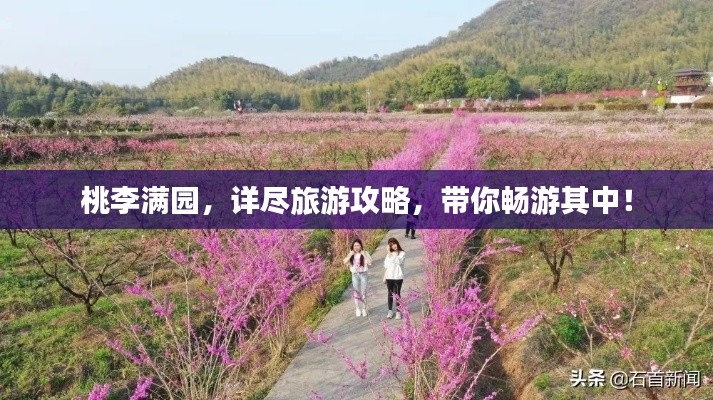 桃李满园,详尽旅游攻略,带你畅游其中!