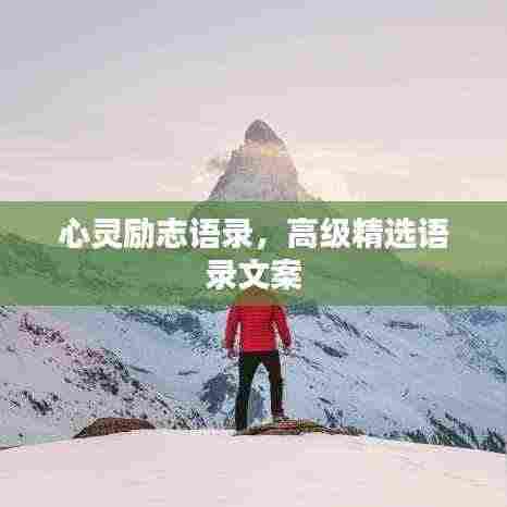 心灵励志语录，高级精选语录文案