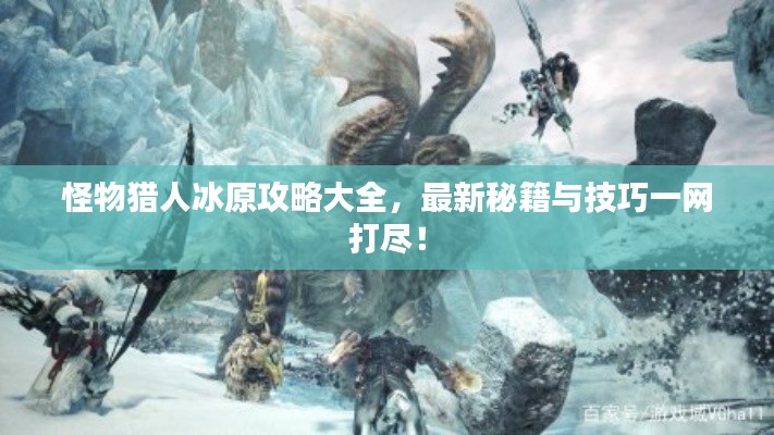 怪物猎人冰原攻略大全，最新秘籍与技巧一网打尽！