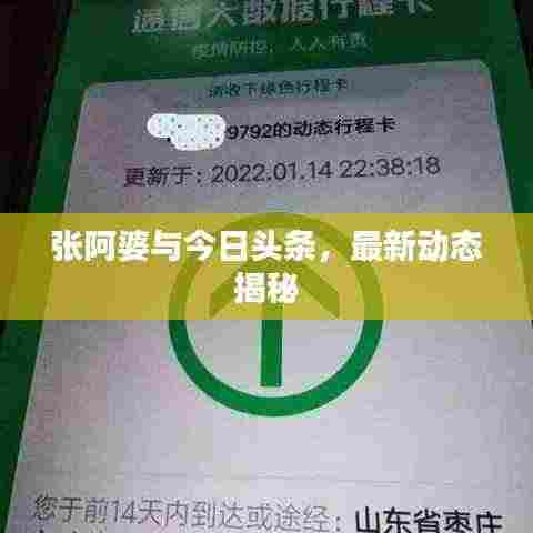 张阿婆与今日头条，最新动态揭秘