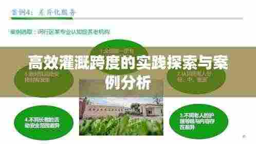 高效灌溉跨度的实践探索与案例分析