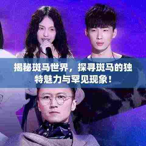 揭秘斑马世界,探寻斑马的独特魅力与罕见现象!