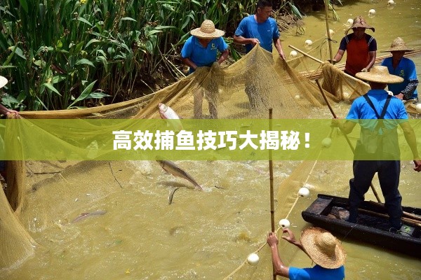 高效捕鱼技巧大揭秘!