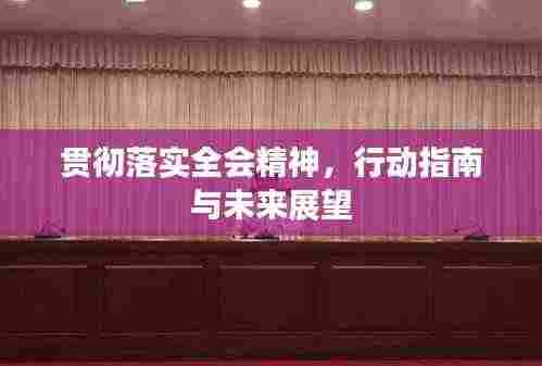 贯彻落实全会精神,行动指南与未来展望