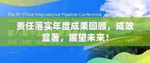 责任落实年度成果回顾,成效显著,展望未来!