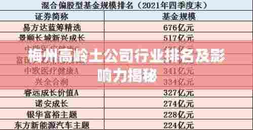 梅州高岭土公司行业排名及影响力揭秘
