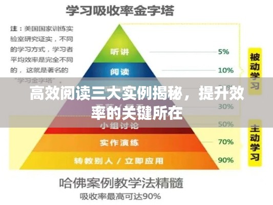 高效阅读三大实例揭秘，提升效率的关键所在
