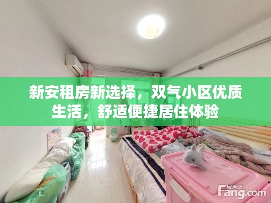 新安租房新选择,双气小区优质生活,舒适便捷居住体验