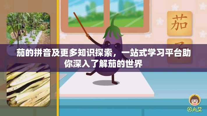 茄的拼音及更多知识探索,一站式学习平台助你深入了解茄的世界