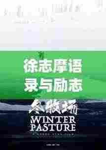 徐志摩语录与励志电影的激情梦想交织