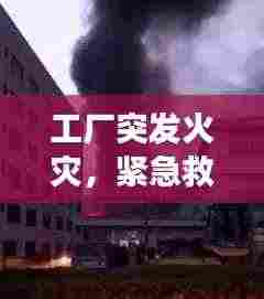 工厂突发火灾,紧急救援与事故反思,警钟长鸣!