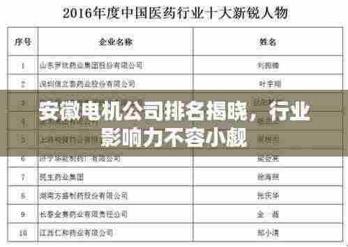 安徽电机公司排名揭晓,行业影响力不容小觑