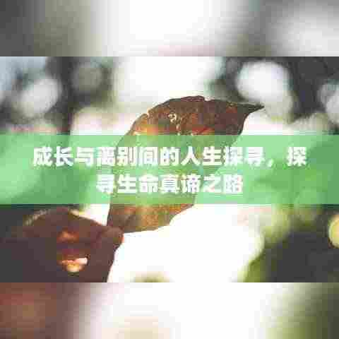 成长与离别间的人生探寻,探寻生命真谛之路