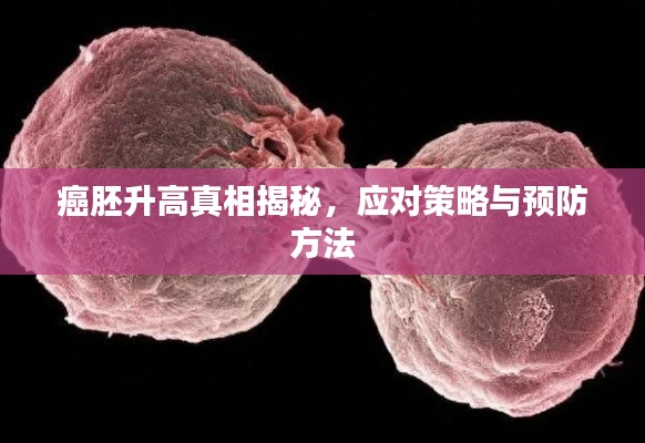 癌胚升高真相揭秘,应对策略与预防方法