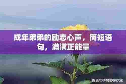 成年弟弟的励志心声,简短语句,满满正能量