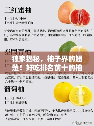 独家揭秘,柚子界的翘楚!好吃排名前十的柚子品种盘点