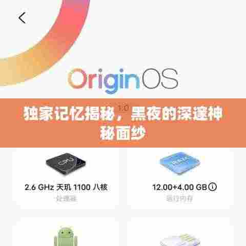 独家记忆揭秘,黑夜的深邃神秘面纱
